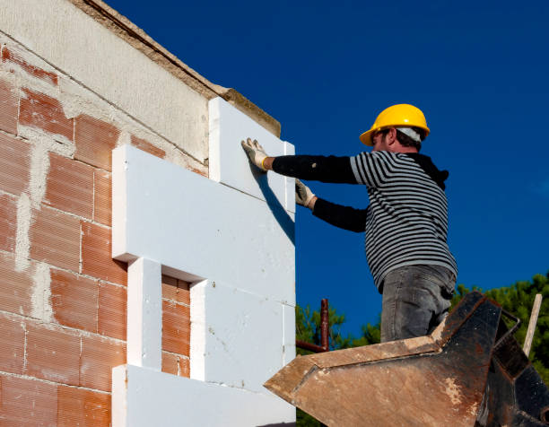 Best Home Insulation Services  in Alamo, GA